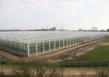 A commercial greenhouse, similar to the ones planned for Suffolk